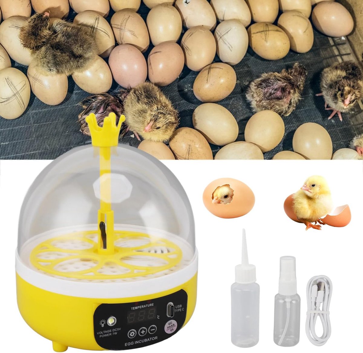 Automatische Broedmachine Voor 4 Eieren Van 7W - Temperatuur- En Vochtigheidsregeling Transparant Deksel Geluidsarm - USB-Voeding Voor Het Uitbroeden Van Kippen-, Eenden- En Kwarteleitjes - Thuis En Op De Boerderij
