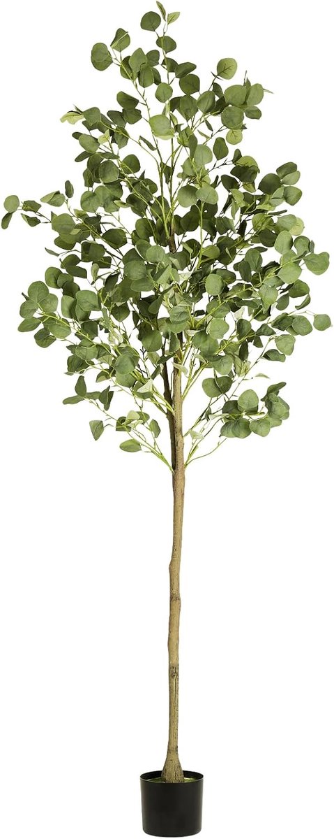 CADUKE Kunstboom, eucalyptus, 1,8 m, voor woonkamer - ShopVlot