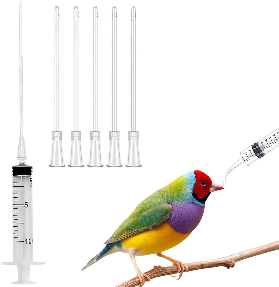 WUSJCOF 6 stuks handvoergereedschap voor babyvogels en papegaaien, jonge vogels, voeder spuit, duivenaccessoires - ShopVlot
