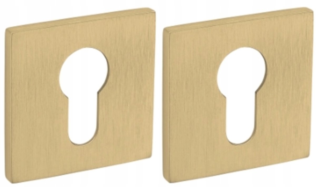Tupai 4049 5SQ-208 Mat Goud Vierkante Rozet voor Cilinder