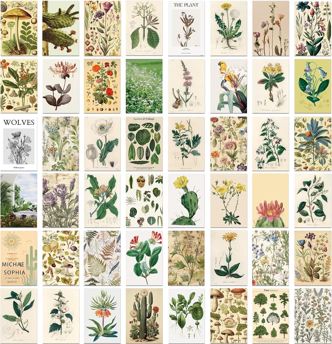 Botanische ansichtkaarten - 50 stuks - bloemen landschapskunst - perfect voor wanddecoratie - ShopVlot