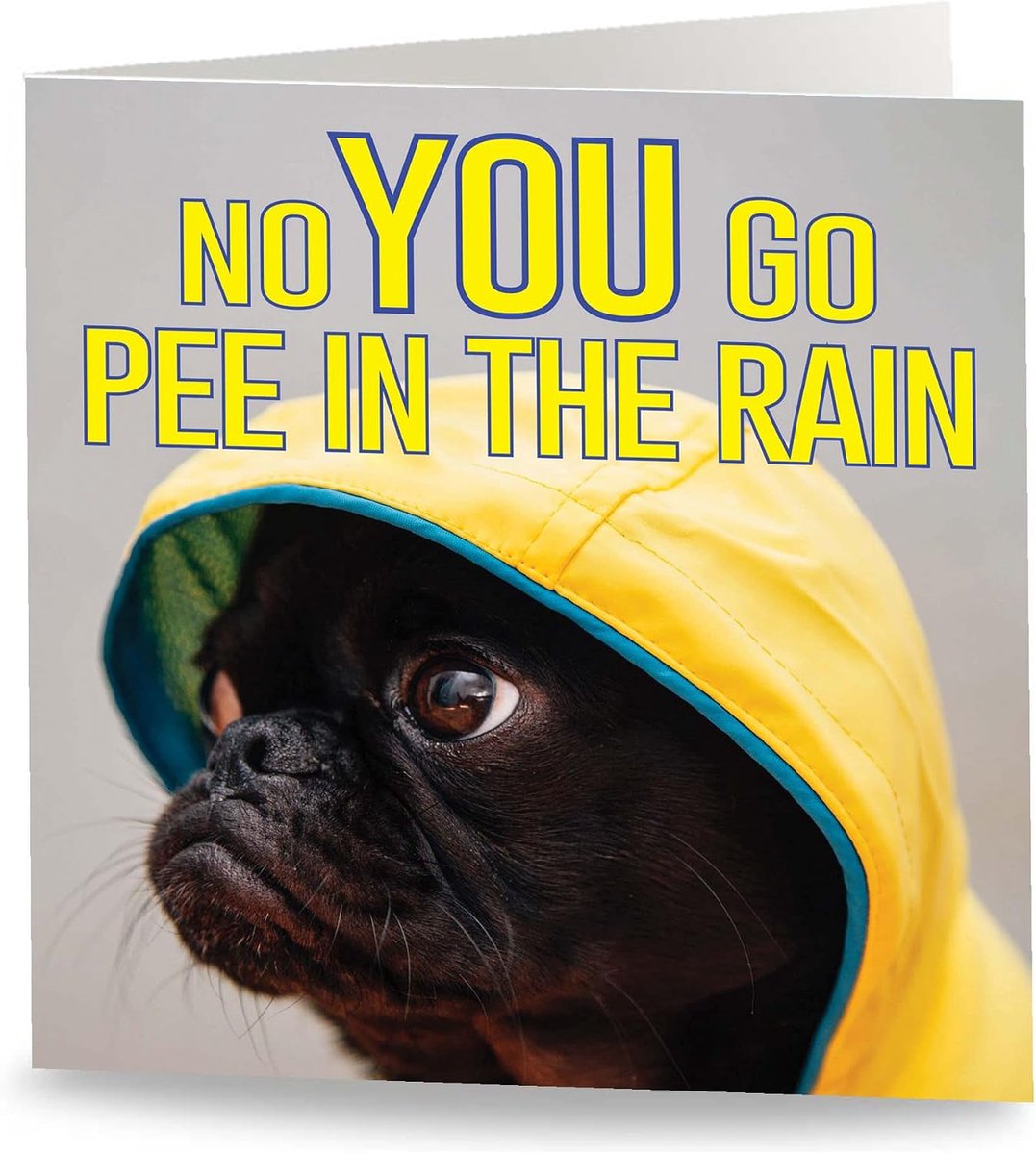 Maturi Dog Going in the Rain Funny Greeting Card - Blank Inside - ShopVlot