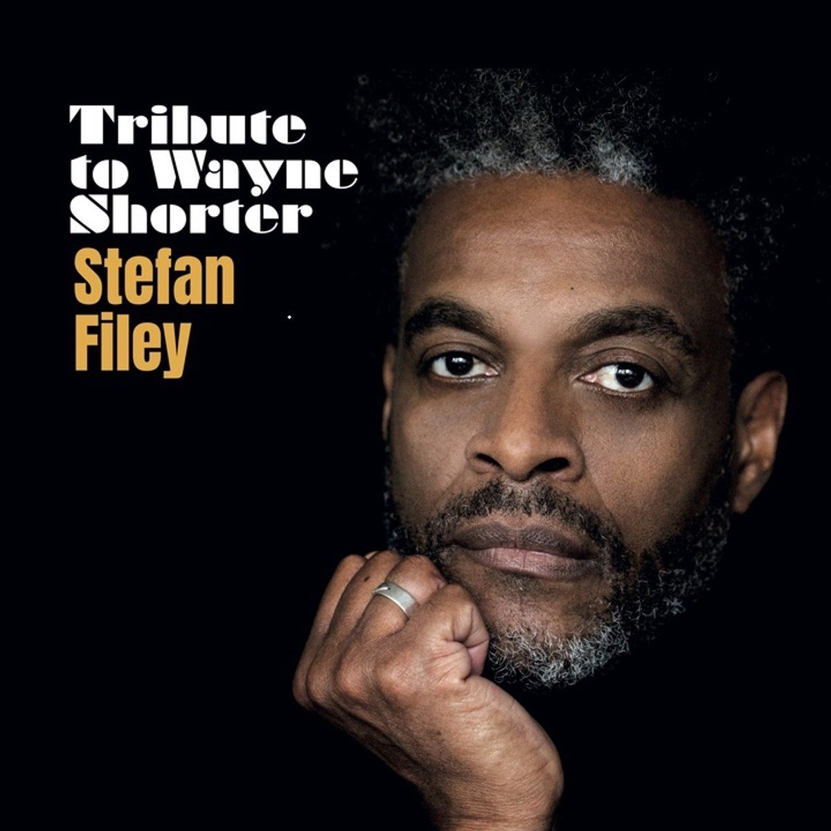 Stefan Filey - Tribute To Wayne Shorter (2 LP)