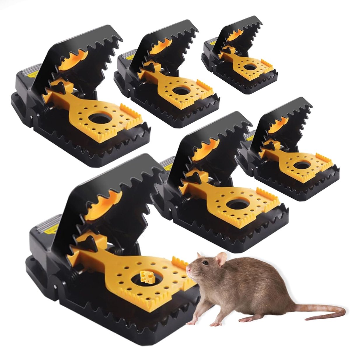 6 Mouse Traps, Powerful Trap for Mice and Rats (Small) - ShopVlot