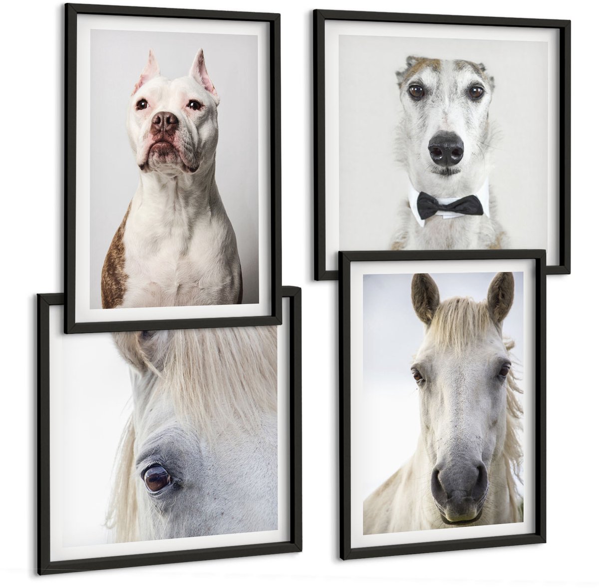 Tulup 4-Delige Schilderij Set - Interessante portretten van honden en paarden in een elegante stijl. - 40 x 40 cm en 40 x 60 cm - Stijlvolle Muurdecoratie - Slaapkamer - Wanddecoratie