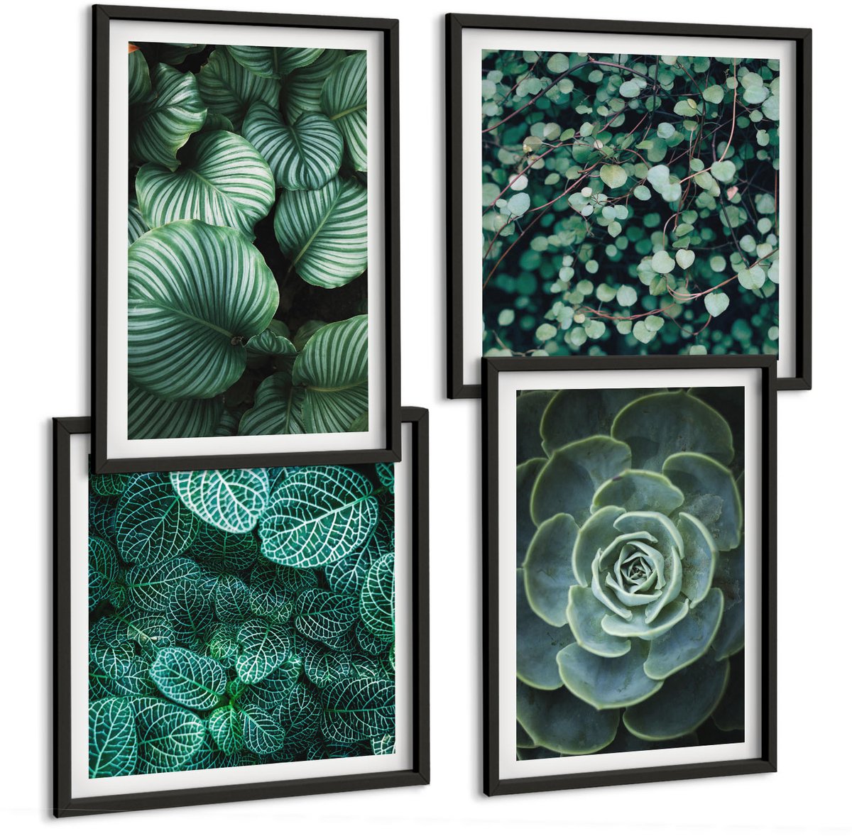 Tulup 4-Delige Schilderij Set - Groene bladplanten en stijlvolle vetplanten - 40 x 40 cm en 40 x 60 cm - Stijlvolle Muurdecoratie - Kantoor - Interieur Decoratie