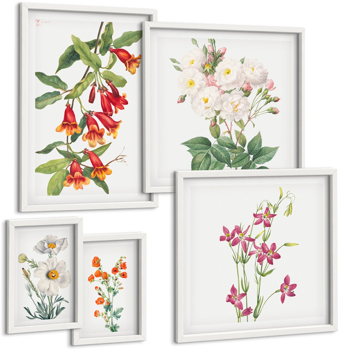 Tulup 4-Delige Schilderij Set - Bloemmotieven in botanische stijl op canvas - 50 x 50 cm, 20 x 30 cm en 40 x 60 cm - Decoratieve Schilderijen - Wanddecoratie - Hal - Moderne Wanddecoratie