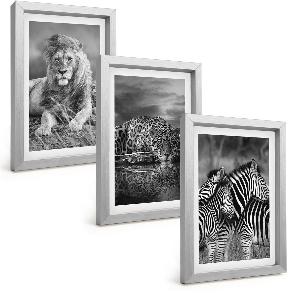 Tulup 4-Delige Schilderij Set - Wilde dieren van de savanne: leeuw, jaguar en zebra. - 20 x 30 cm - Stijlvolle Muurdecoratie - Kantoor - Wanddecoratie