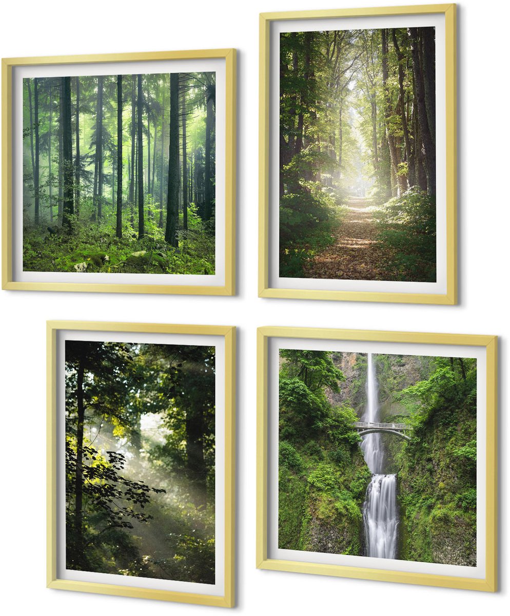 Coloray 4-Delige Schilderij Set - Groene bossen met zonnestralen en een bospad - 40 x 40 cm en 40 x 60 cm - Moderne Wanddecoratie - Woonkamer
