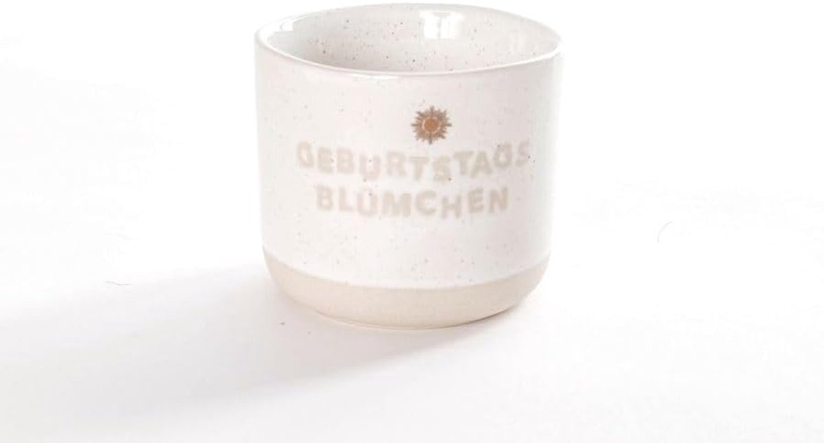 Good old Friends mini flower pot birthday flower - ShopVlot