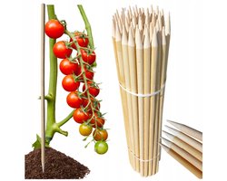 Houten Stokken voor Tomaten & Bloemen - 100 stuks, 78 cm