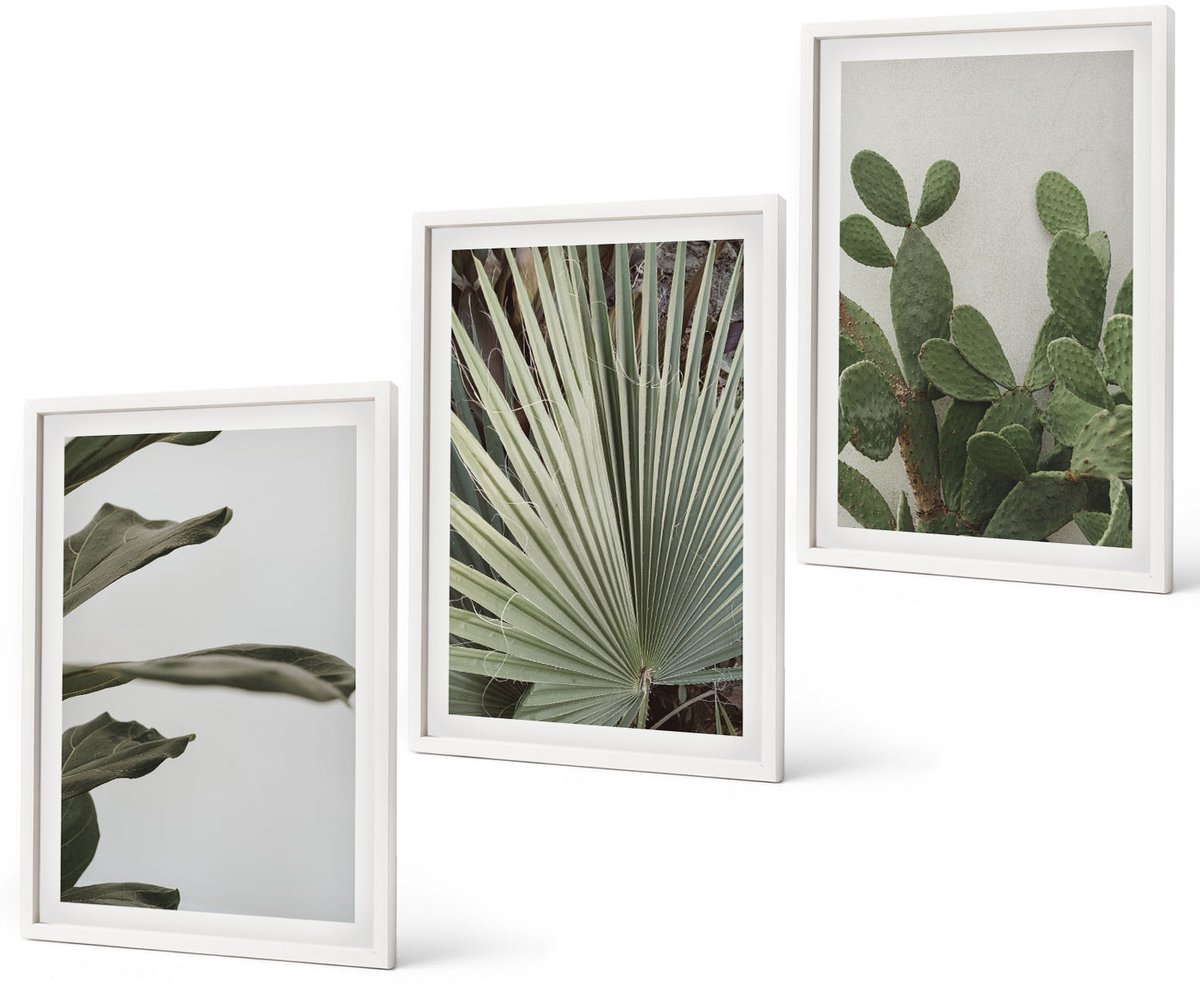 Coloray 3-Delige Schilderij Set - Bladeren Van Tropische Planten In Pastelkleuren - 40 x 60 - Wanddecoratie - Moderne Interieurdecoratie - Interieur Decoratie