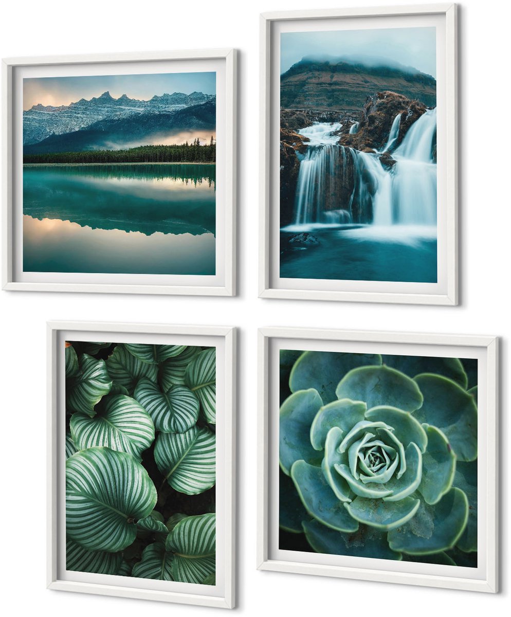 Coloray 4-Delige Schilderij Set - Close-Ups Van Planten, Bladeren En Vetplanten - 40 x 40 En 40 x 60 - Wanddecoratie - Moderne Interieurdecoratie - Interieur Decoratie