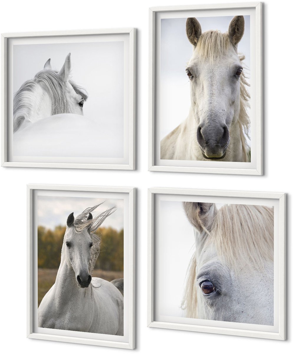 Coloray 4-Delige Schilderij Set - Witte Paarden In Verschillende Houdingen Tegen Een Natuurlijke Achtergrond. - 40 x 40 En 40 x 60 - Wanddecoratie - Muurdecoratie - Moderne Interieurdecoratie