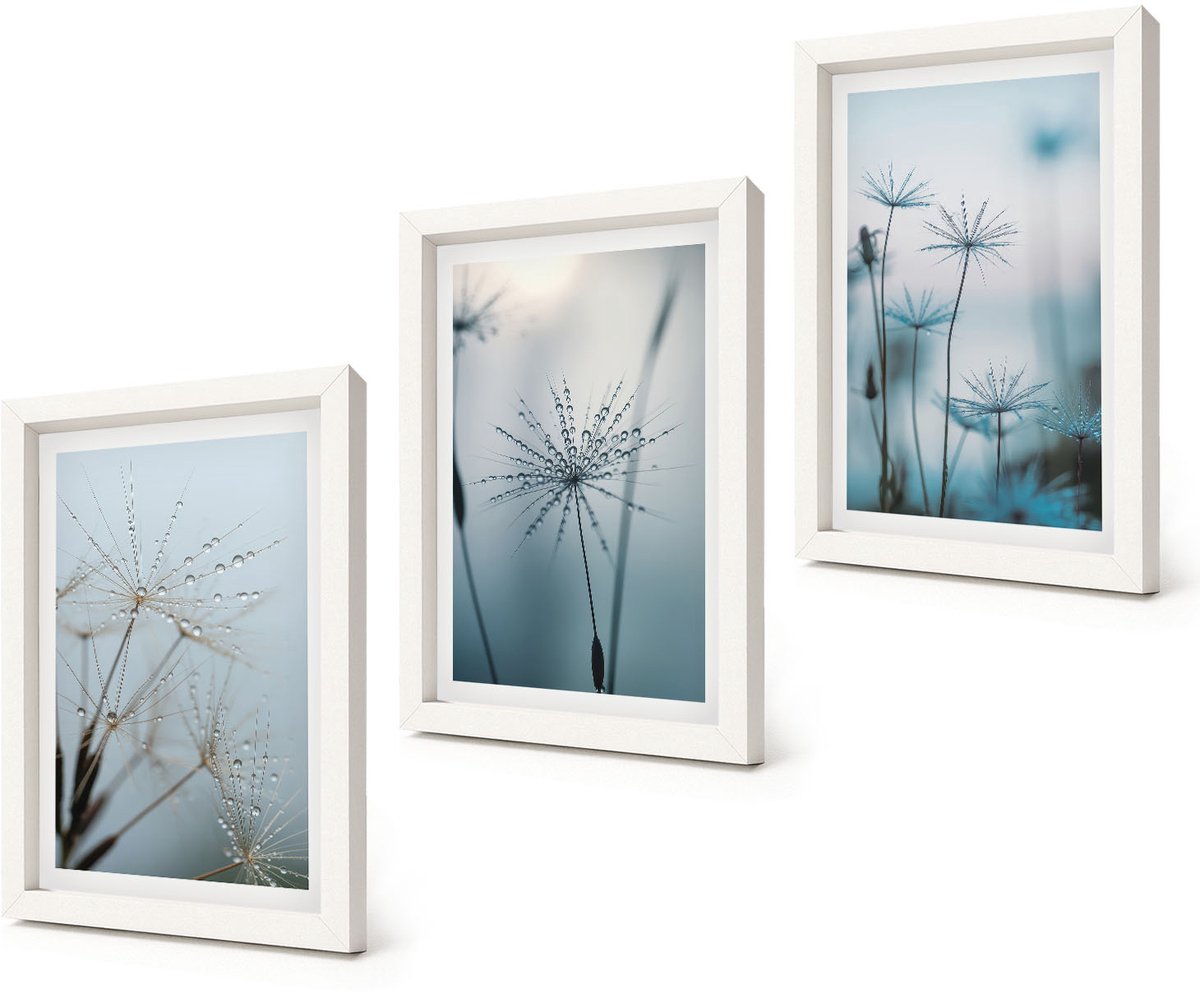 Coloray 3-Delige Schilderij Set - Fijne paardenbloemen met waterdruppels - 20x30 - Muurdecoratie - Wanddecoratie - Hal - Stijlvolle Muurdecoratie