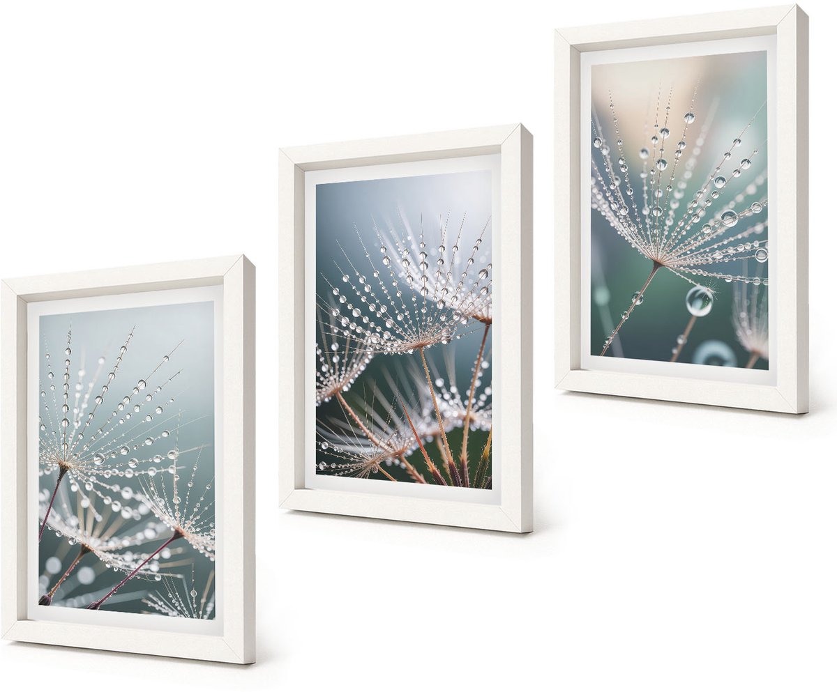 Coloray 3-Delige Schilderij Set - Waterdruppels op de tere scheuten van paardenbloemen - 20x30 - Stijlvolle Muurdecoratie - Slaapkamer - Interieur Decoratie