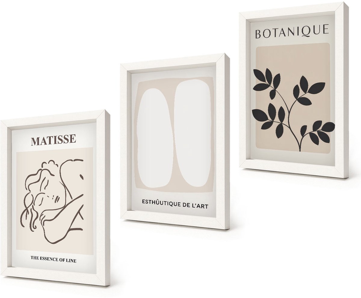 Coloray 3-Delige Schilderij Set - Stijlvolle minimalistische schilderijen met plantmotieven van Matisse - 20x30 - Stijlvolle Wanddecoratie - Interieur - Decoratieve Schilderijen