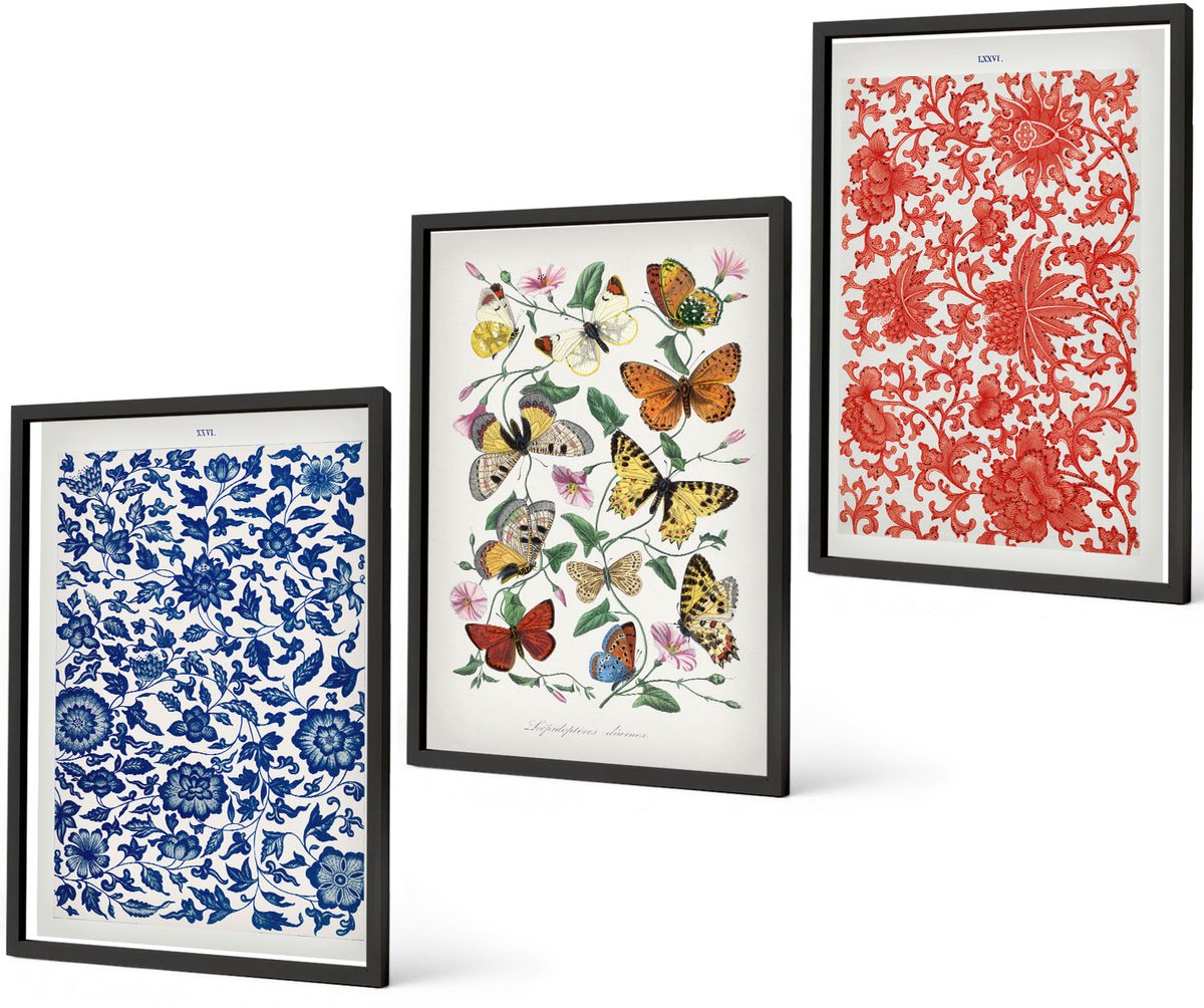 Coloray 3-Delige Schilderij Set - Vintage Posters Met Bloemen, Vlinders En Ornamenten - 40 x 60 cm - Stijlvolle Muurdecoratie - Kantoor