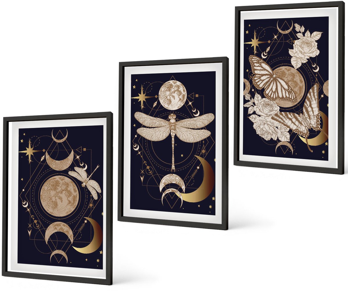 Coloray 3-Delige Schilderij Set - Natuurthema'S Met De Maan, De Ruimte En Bloemen. - 40 x 60 cm - Wanddecoratie - Muurdecoratie - Moderne Interieurdecoratie - Woonkamer Decoratie