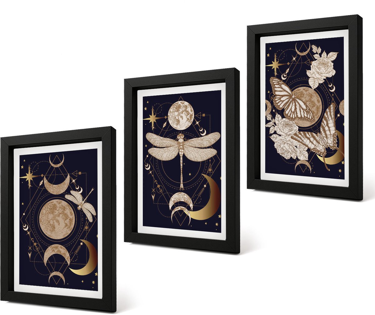 Coloray 4-Delige Schilderij Set - Natuurthema's met de maan, de ruimte en bloemen. - 20 x 30 cm - Muurdecoratie - Interieur Decoratie - Woonkamer Decoratie