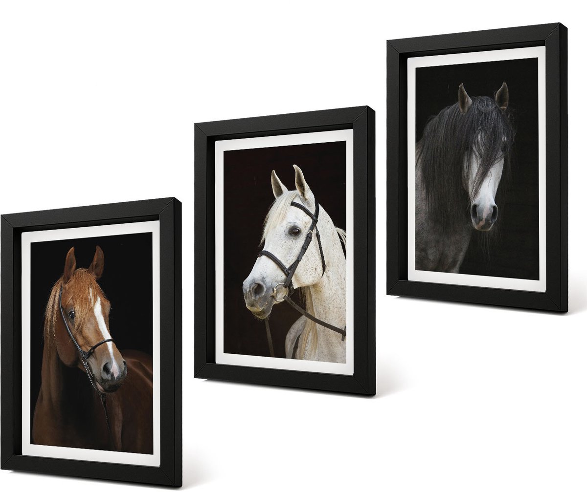 Coloray 4-Delige Schilderij Set - Portretten van paarden in verschillende vachtkleuren - 20 x 30 cm - Muurdecoratie - Wanddecoratie - Hal - Interieur Decoratie