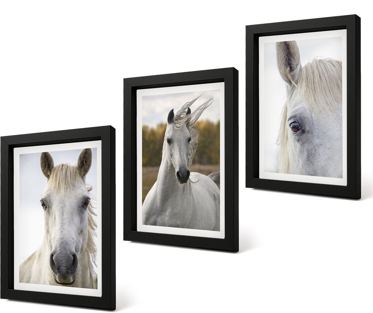 Coloray 4-Delige Schilderij Set - Witte paarden in verschillende houdingen tegen een natuurlijke achtergrond. - 20 x 30 cm - Wanddecoratie - Moderne Interieurdecoratie - Stijlvolle Muurdecoratie