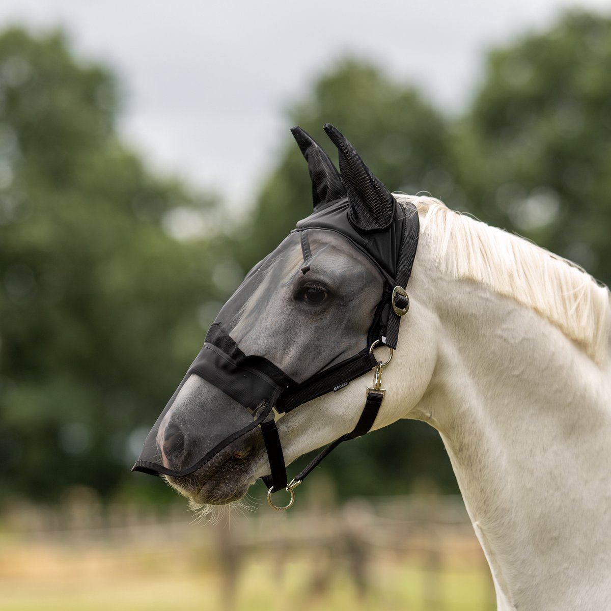 Busse Vliegenhalster Fast-Cob