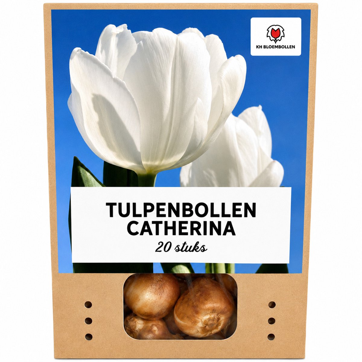 Tulpenbollen Catherina – 20 Stuks | KH Bloembollen® | Witte Tulp – Tijdloos, Elegant & Zuiver – Voor Tuin of Pot – Maat 11/12 – Vers van de Teler