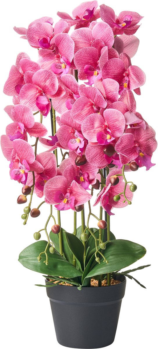 Beliani ORCHID - Kunstplant - Roze - 65 cm - Synthetisch materiaal Groen