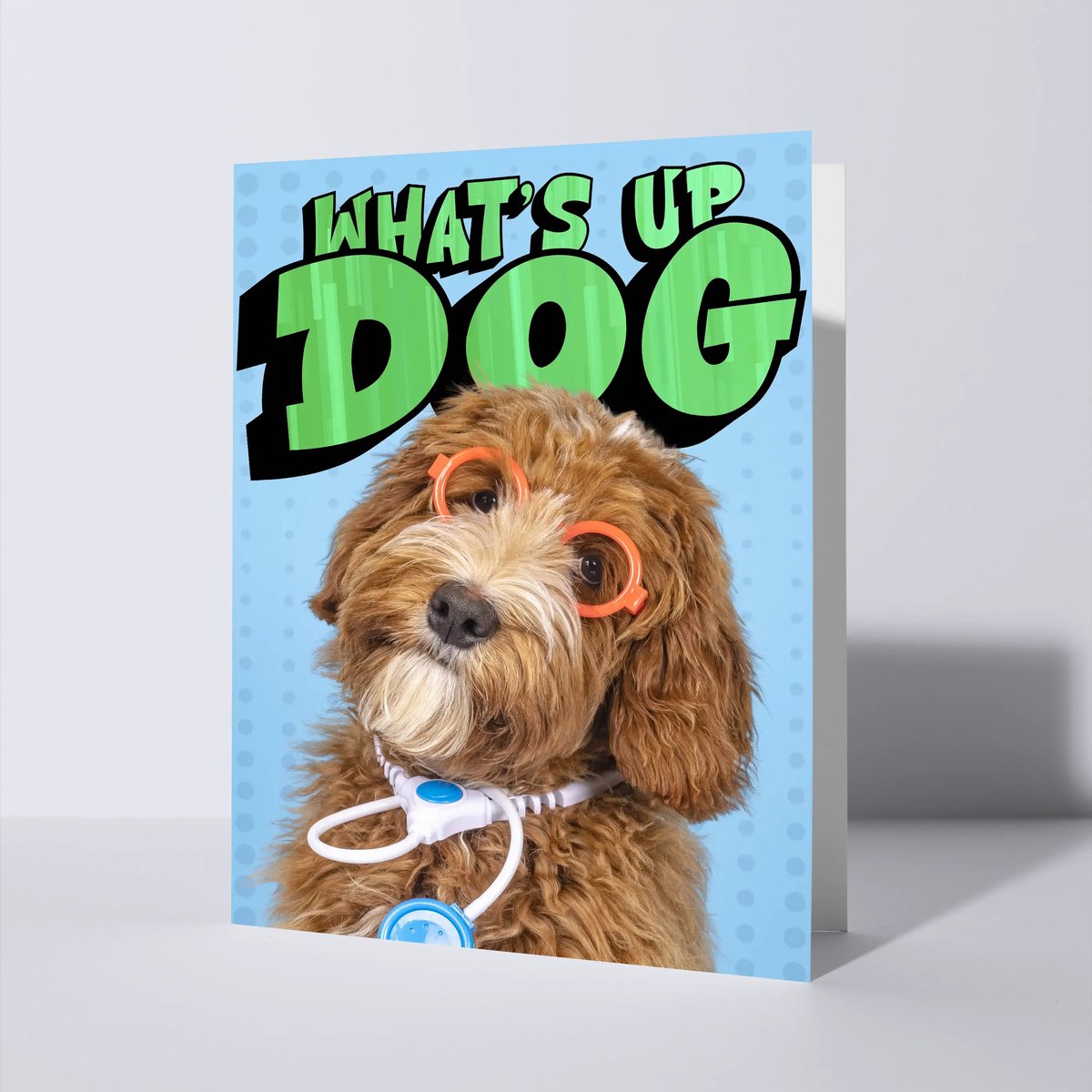 CAT'CHY Cards - wenskaart - beterschap - hond