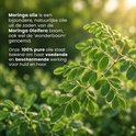 Moringa oleifera boombladeren in de zon. Moringa olie is puur en natuurlijk.