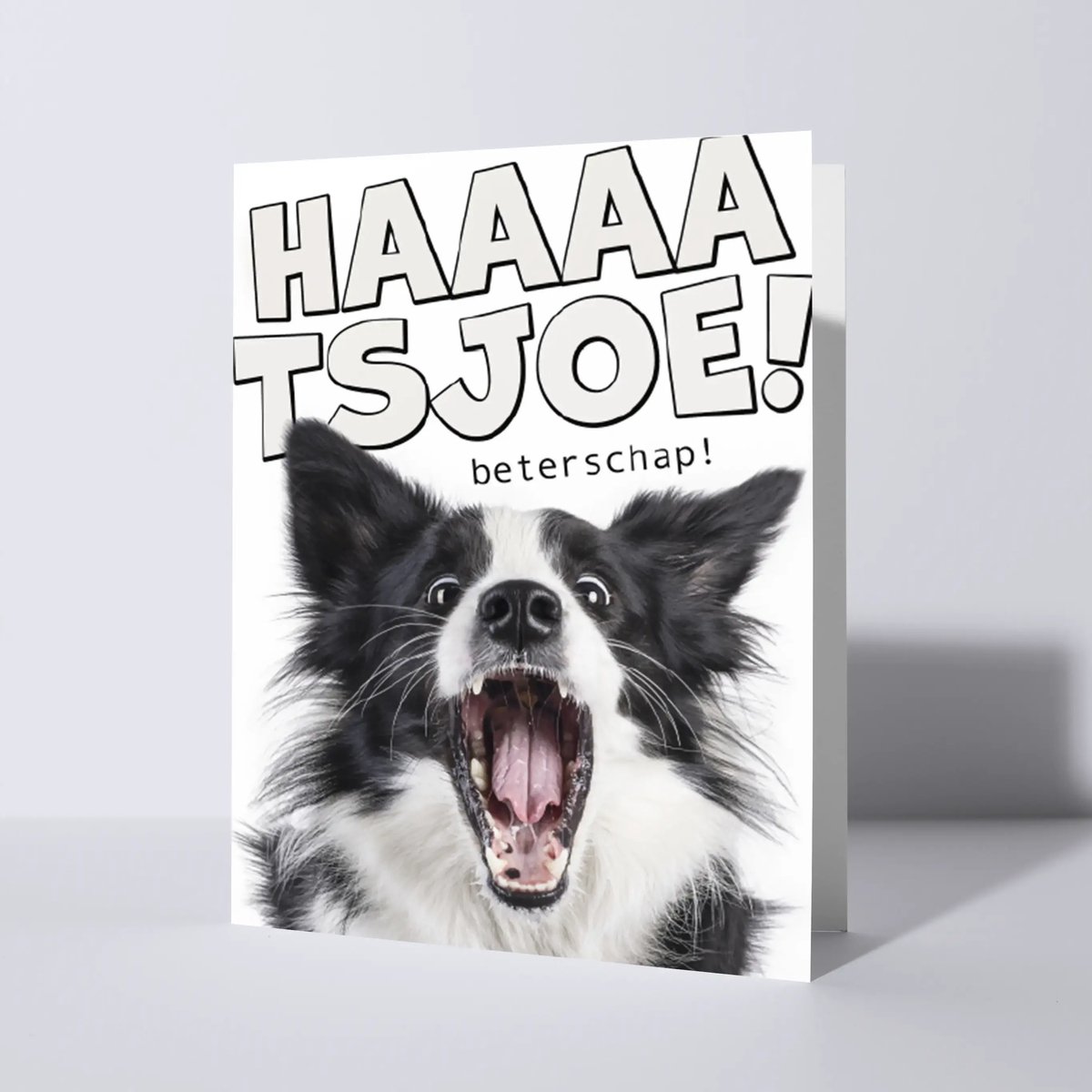 CAT'CHY Cards - wenskaart - beterschap - hond