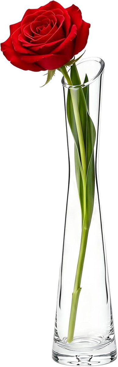 SnelShoppen - 25cm Glas Bloemenvase met Smalle Hals - Duidelijke Enkelvoudige Steel Vaas voor Thuisdecoratie, Kantoor Bureau, Bruiloft Tafel Versierin