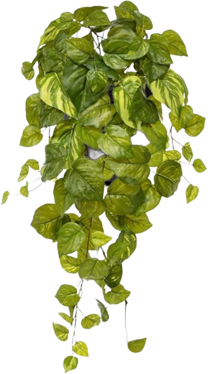 maxifleur Kunstplanten Pothos kunst hangplant 55cm - bont in pot