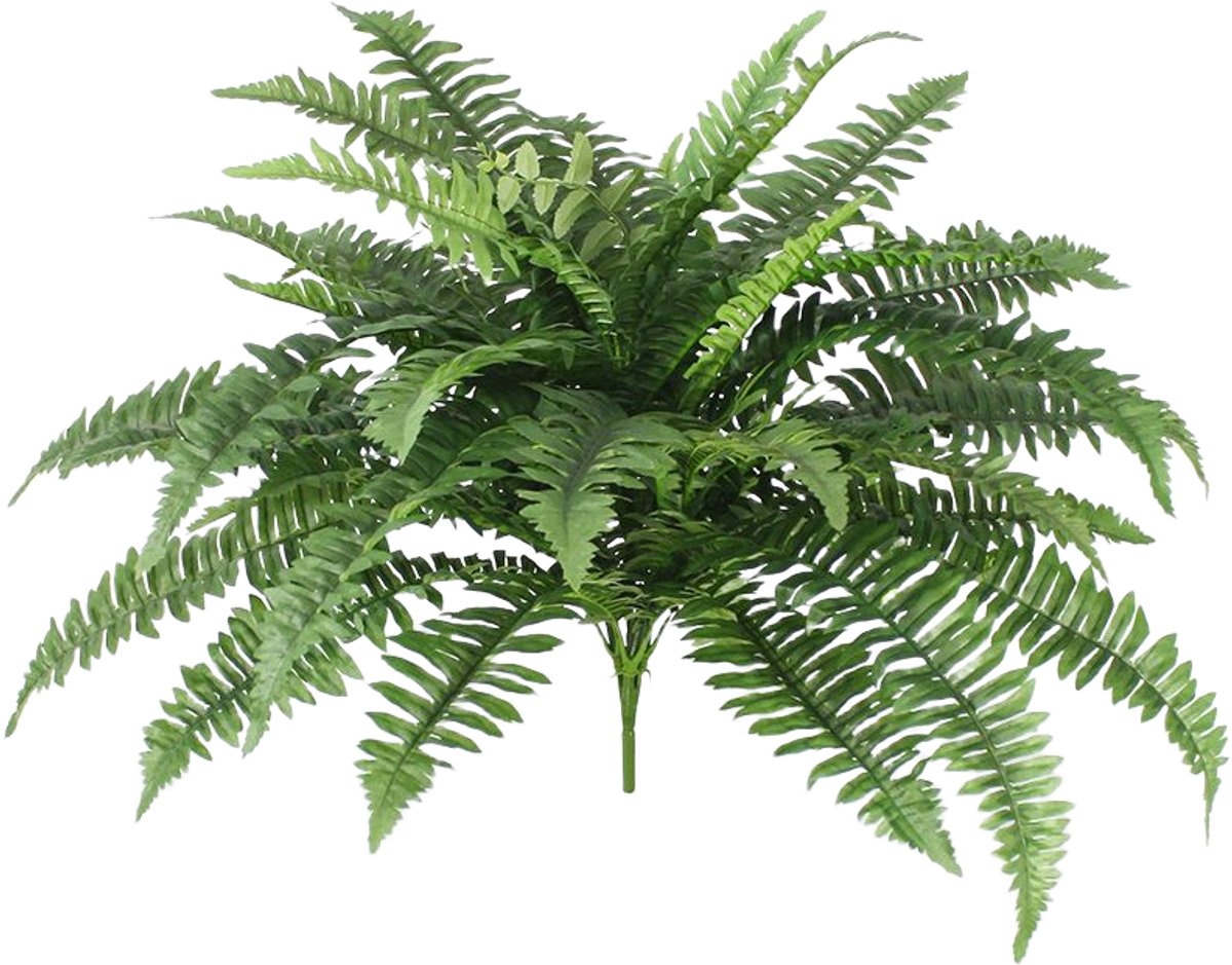 maxifleur Kunstplanten Boston Varen deluxe kunstplant 65cm Groen