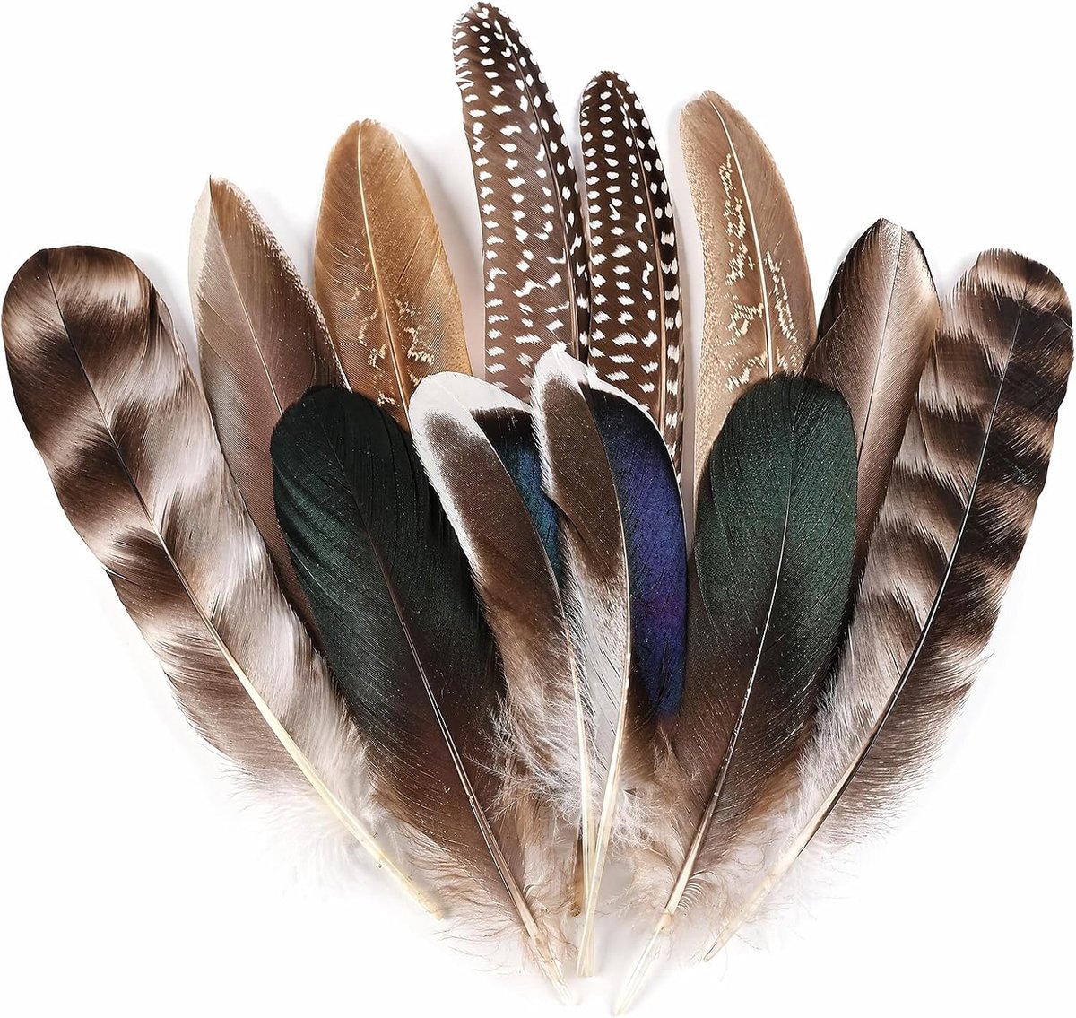 12 stuks knutselveren, mix set, decoratieve veren in verschillende