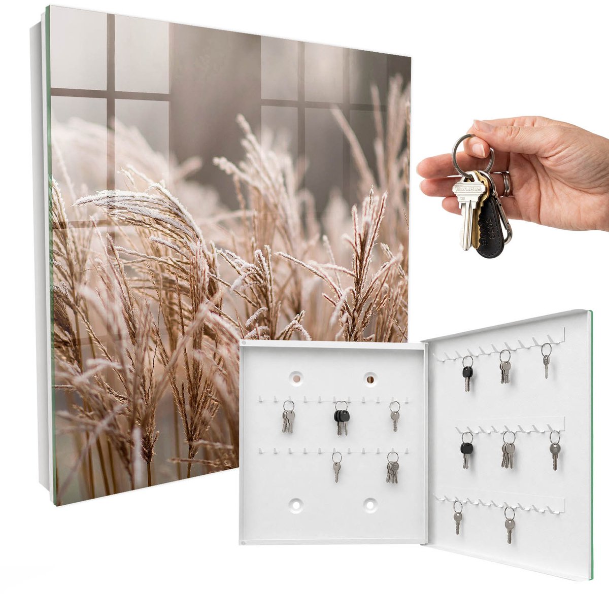 WallMuralia - Sleutelkast - 30x30x5 cm - met 50 haken - Bevroren Gras Leuk Sleutelkastje - Beige Sleutelbox - Rechtsopenend - Wit interieur