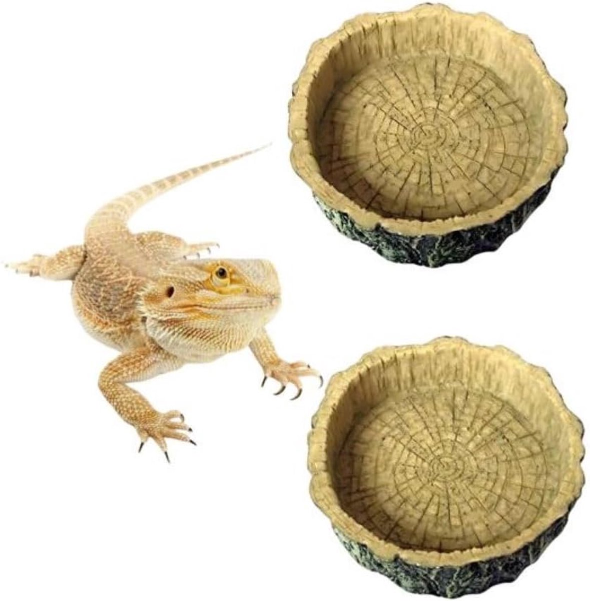 2-pack reptielen voer- en waterbakken, hoekbak voor reptielenvoer, geschikt voor baarddraken, hagedissen, spinnen, schorpioenen, gekko-schildpadden, heremietkrabachtigen, enz