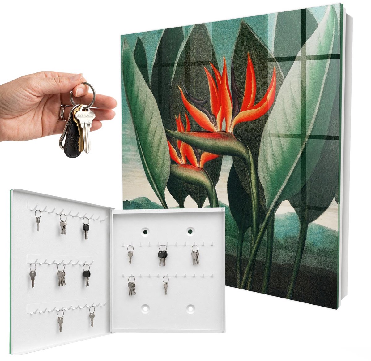 WallMuralia - Sleutelkast - 30x30x5 cm - met 50 haken - Het Exotische Van De Natuur Sleutelkastje Hal - Groente Sleutelbox - Linksopenend - Wit interieur