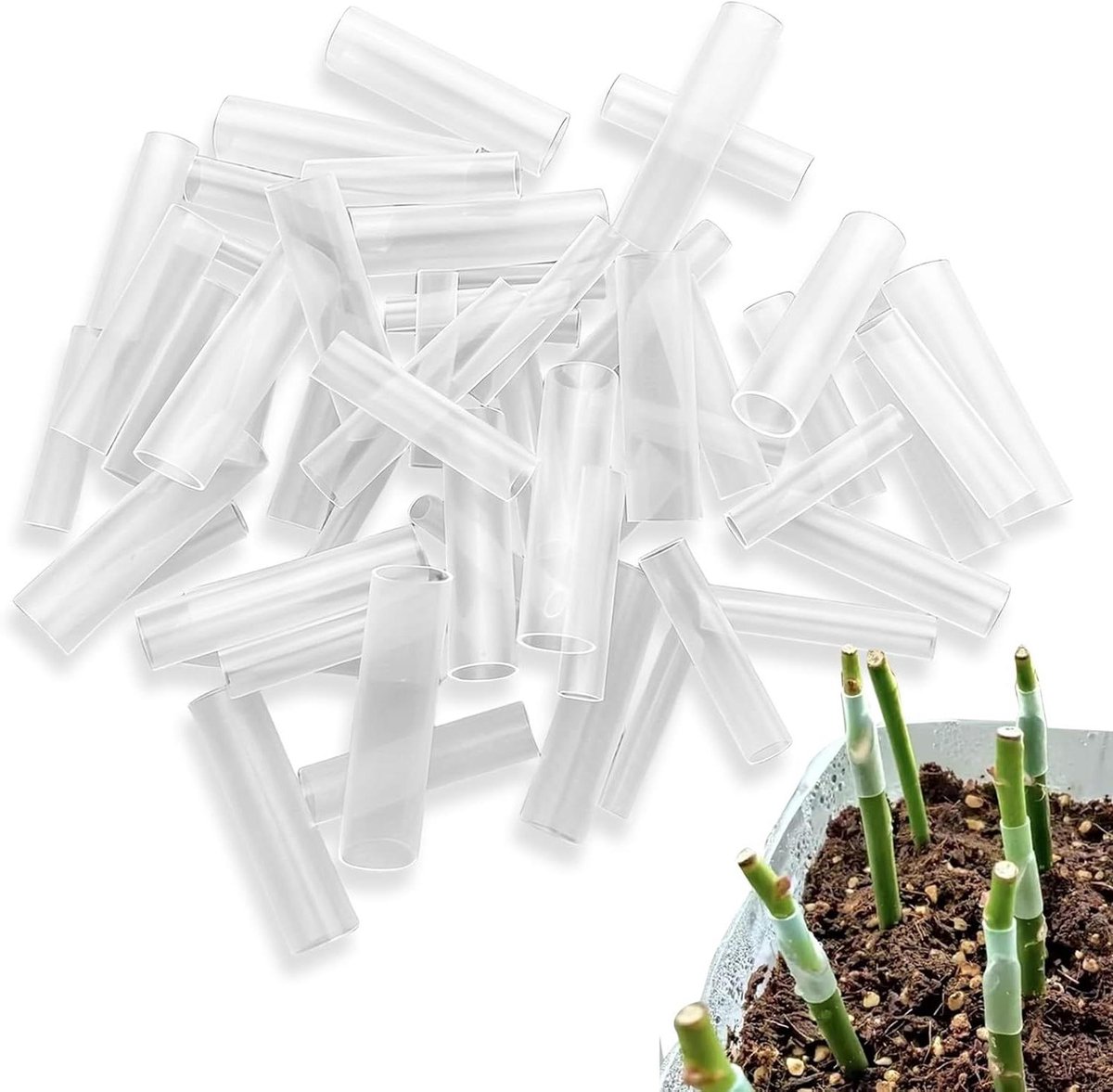 Plantenenthoes Siliconen - Steunbanden Enten - Planten Vermeerderen - Zelf Splitsend Ontwerp - 50 stuks - Transparant