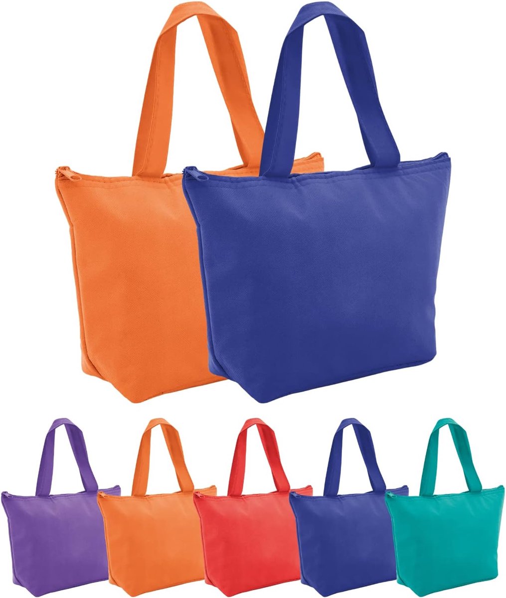 SnelShoppen - Kleine Koeltas, Thermisch Vouwbare Draagtas | Rits, Isotherme Lunchtas, Isolerend, Lichtgewicht | Voor Lunch, Snacks, Picknick, Medicijn