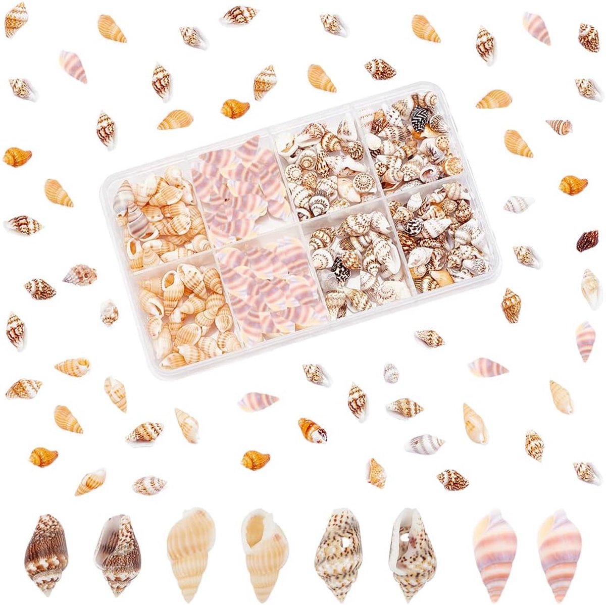 PandaHall 260 stks 4 Stijlen Mini Zeeschelpen, 7 ~ 20mm Kleine Zeeschelpen met Gaten voor Epoxy Hars Ceafts Haar Clip Sieraden Maken Natuurlijke Schelp Geboorde Schelpen voor Tuin Home Decoraties