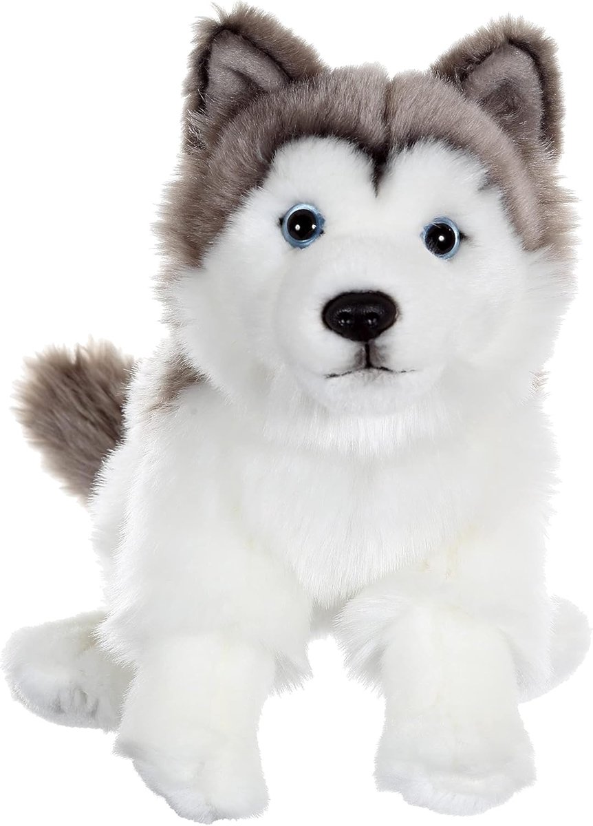 - Gispy-hond, zittend, 25 cm, Husky, pluche, voor kinderen, 8 verschillende modellen, 071123, 071123
