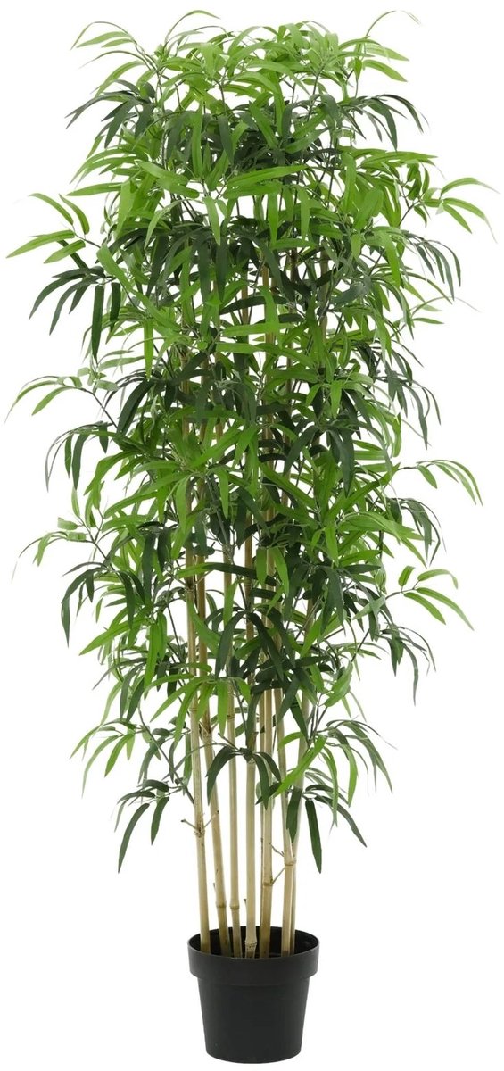 Trendyplants - Kunst Bamboe - Bamboeplant - Kunstplant - Hoogte 180cm - Potmaat Ø20cm