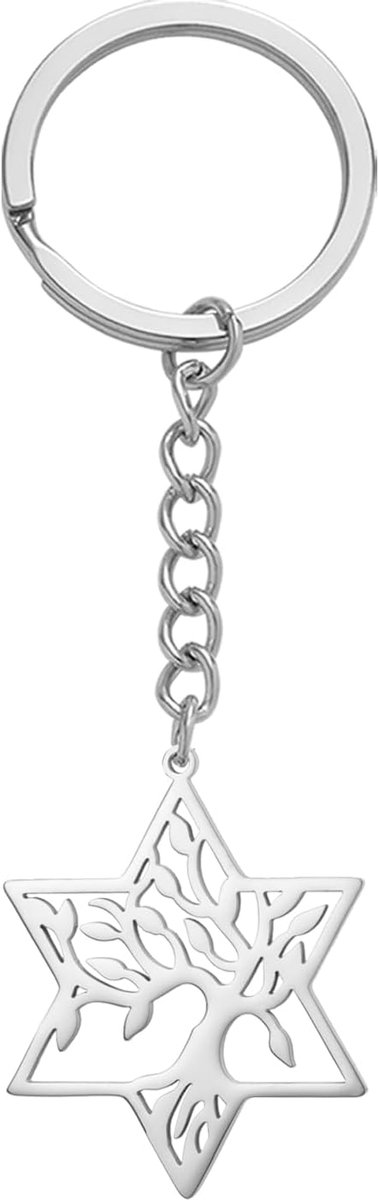kkjoy Levensboom met Davidster Sleutelhanger Roestvrij Staal Hexagram