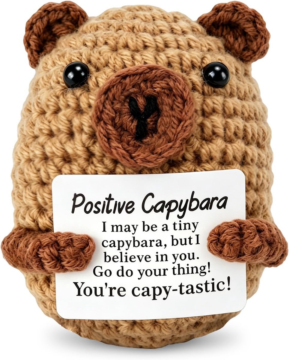 Hug Positive Capybara pluche dier met positieve affirmatiekaarten | Capybara Breiwol, gehaakt emotionele ondersteuning, cadeau, schattige mini-Capybara-cadeaus voor auto, bureau, kantoor