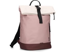 SnelShoppen - Ruime rugzak voor laptop met vak voor laptop Cargo CAR200 11L Wit - Bordeau multikleur, ideaal voor school, werk en dagelijks gebruik