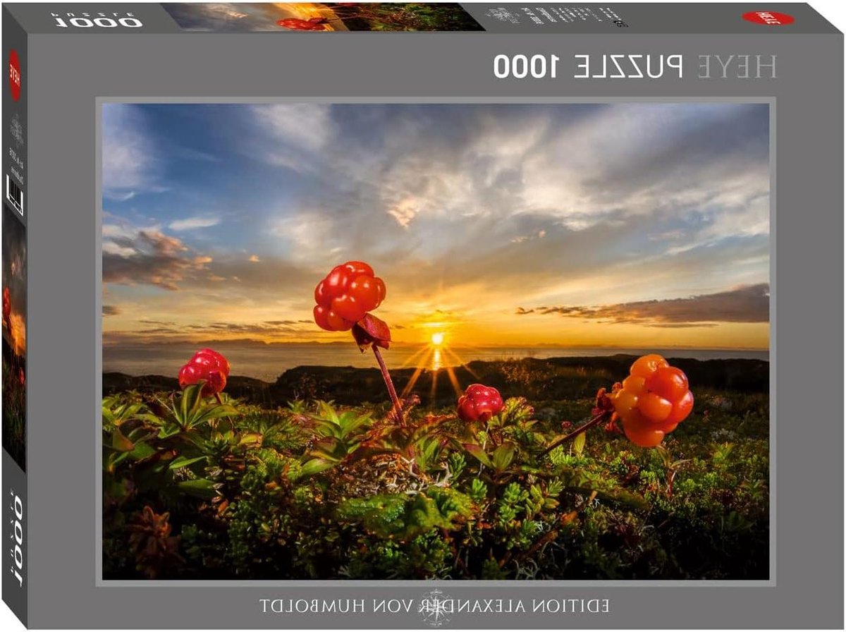 Puzzel 1000 Stukjes - Legpuzzel Kaart - Ontspanning Thuis - Hoge Kwaliteit Karton - 50 x 70 cm - Niet Gespecificeerd