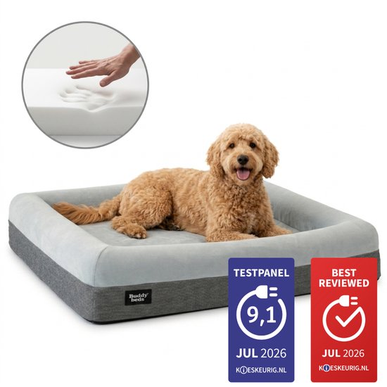 Lit orthopédique gris Buddy Beds avec intérieur en mousse, un chien dessus. Badges "TESTPANEL 9.1" et "BEST REVIEWED JUL 2026".