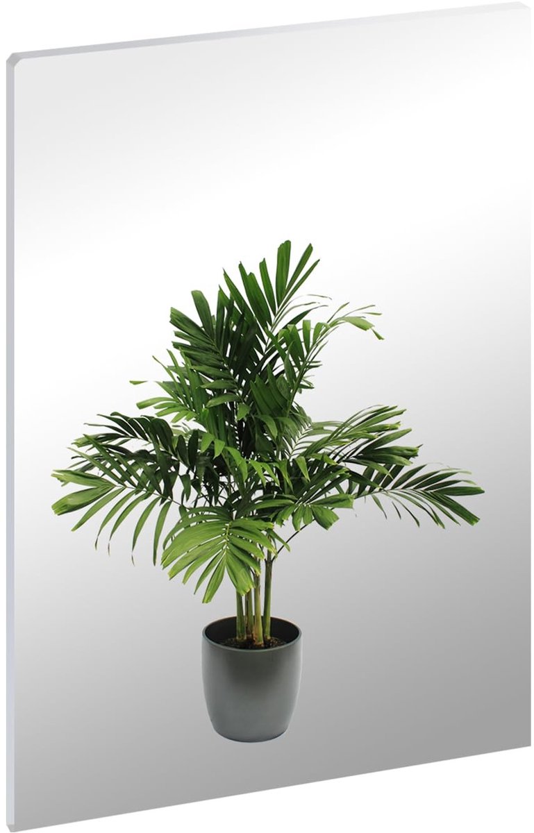 Omgoods - 42 x 30 cm HD Wandspiegel - Zelfklevend Gehard Echt Glas